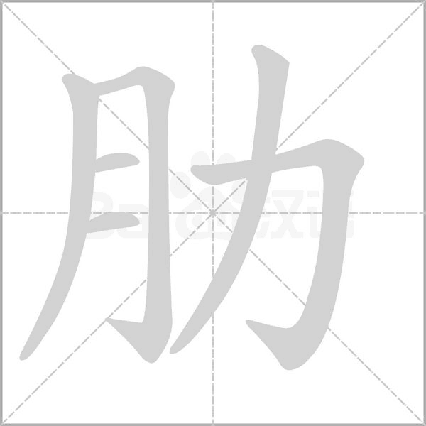 肋的筆順動(dòng)畫(huà)演示